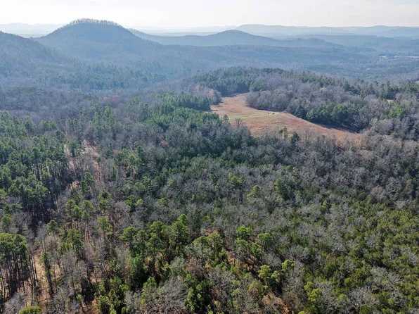 350 Gorby Rd, Calico Rock, AR 72519