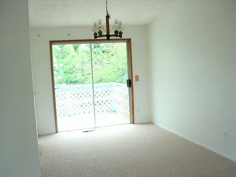 New Carpet