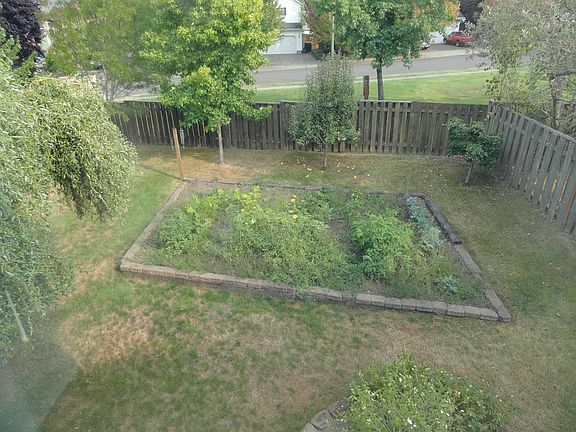 Back yard & garden