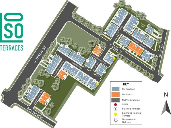 charlotte-north-carolina-448464056 picture