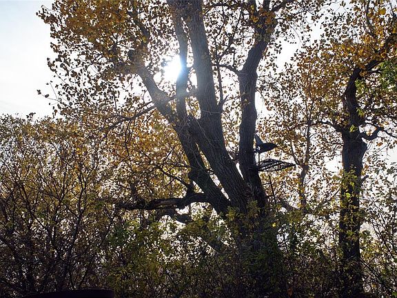 3rd image of (Undisclosed Address)