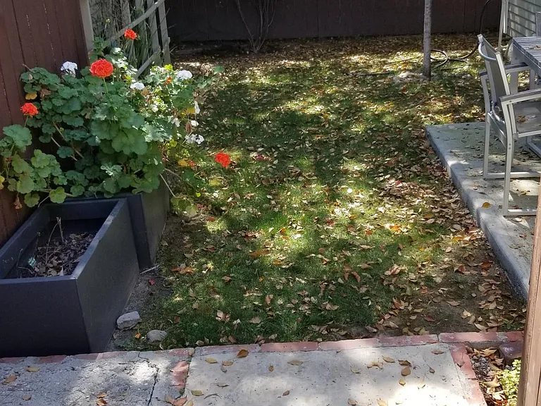 Yard-looking South