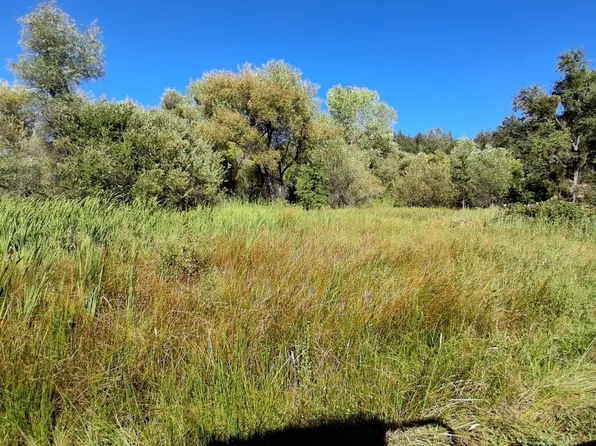 Shingletown Ridge Rd, Shingletown, CA 96088