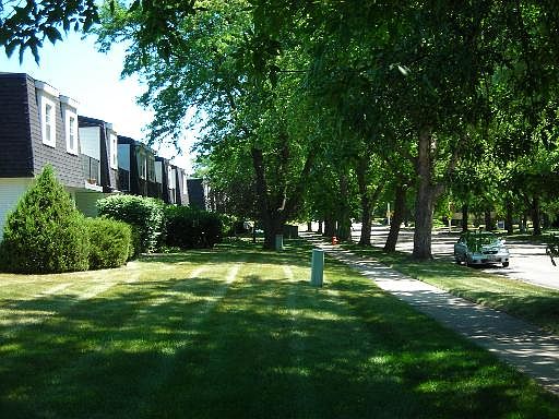 5th image of 1133 W Royal St #203
