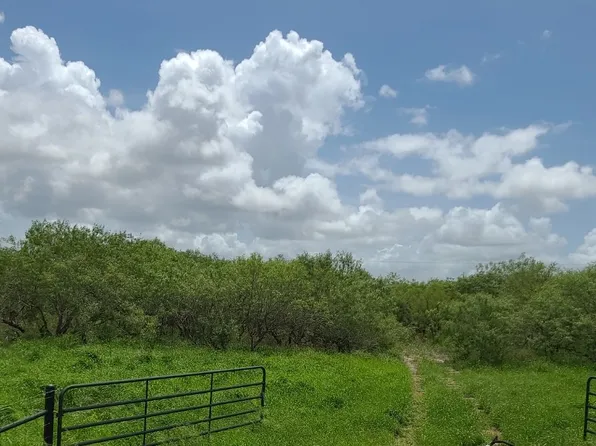 4630 S Highway 77, Kingsville, TX 78363