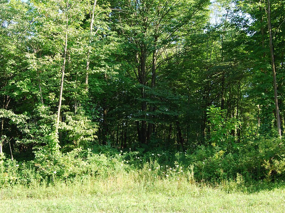 2nd image of 65 Buckeye Dr