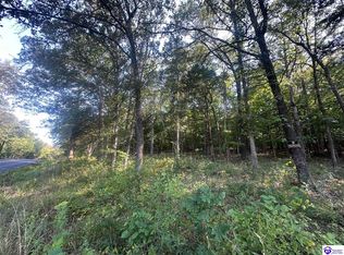 13600 Grayson Springs Rd #4&5, Clarkson, KY 42726