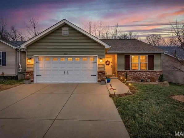 313 Andy Habsieger St, Festus, MO 63028