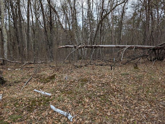 4th image of 35546 Pine Terrace Rd