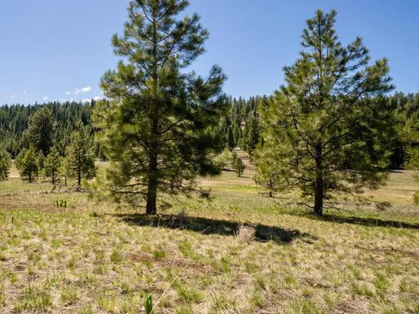 27 To Be Determined, McCall, ID 83638