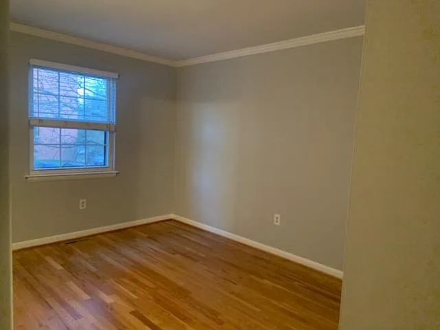 19 Theo Ln — Photo 13