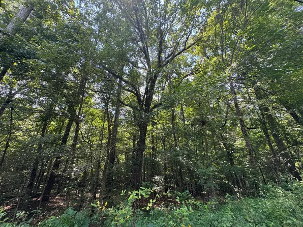 0 Mill Creek Rd, Warrior, AL 35180