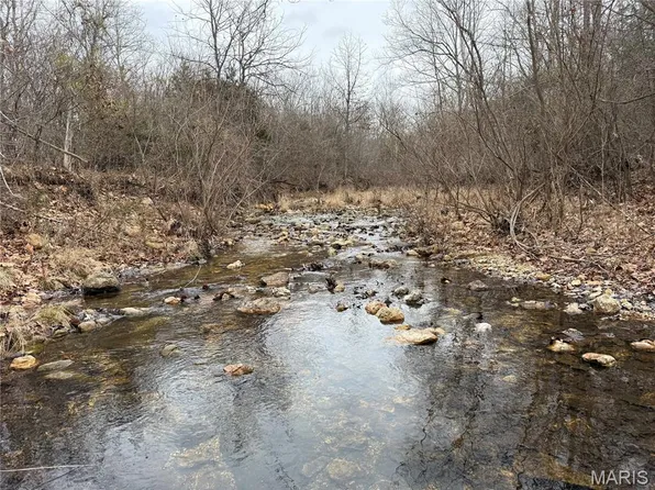 TRACT 2 Madison St #248, Fredericktown, MO 63645