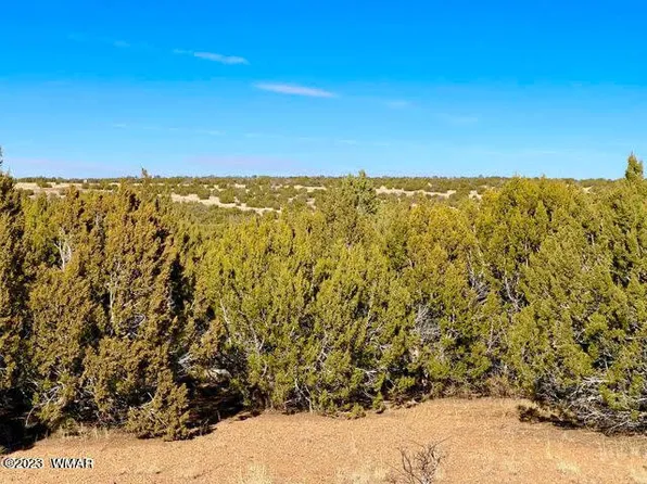 1971 Tee St, Show Low, AZ 85901