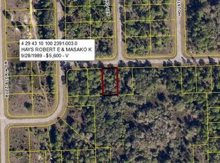 305 James Irwin Ter, Labelle, FL 33935
