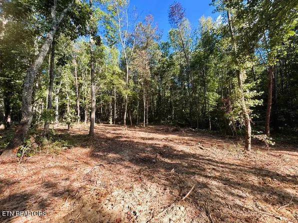 4 Pleasant Hill Rd, Ten Mile, TN 37880