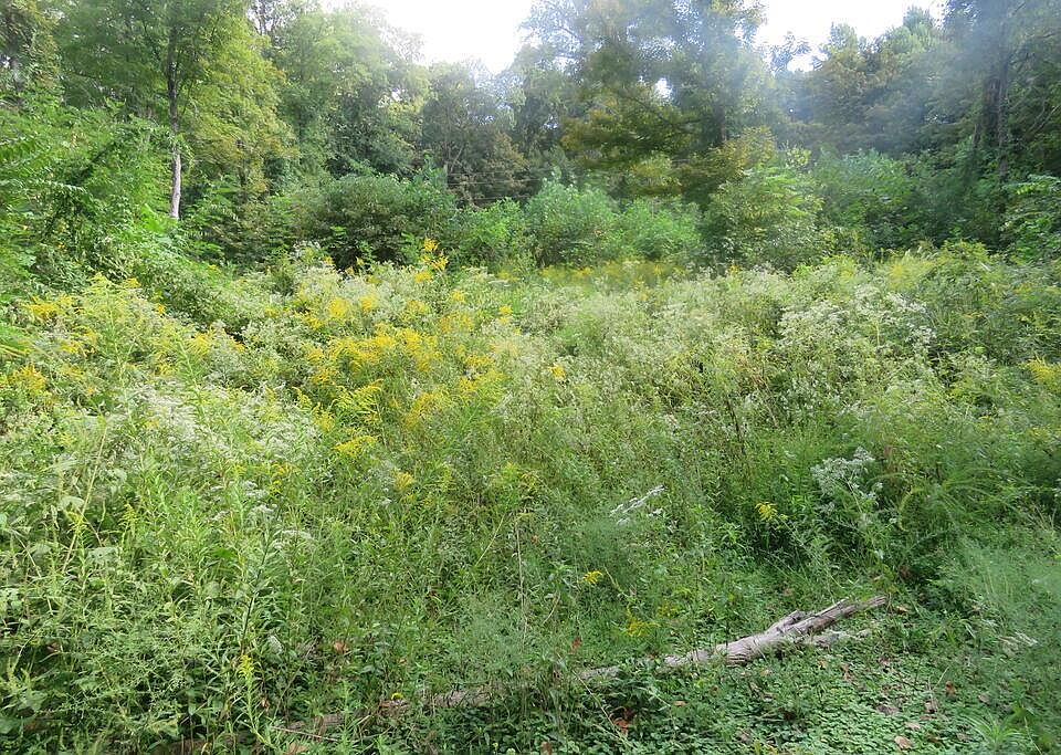 1st image of 0 Watauga Rd