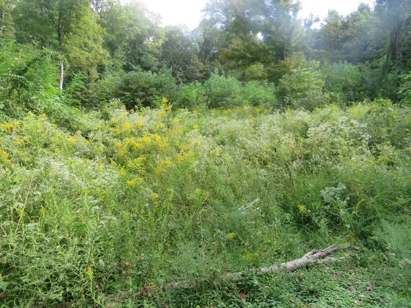 0 Watauga Rd, Cookeville, TN 38506