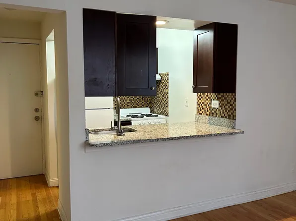 3710-215 N Pine Grove Ave, Chicago, IL