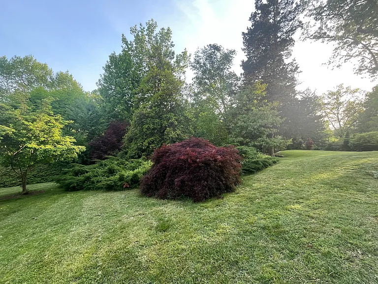 view of the front yard, with a gorgeous Japanese maple