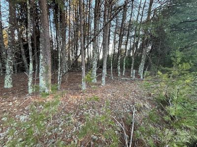 2370 Big Island Rd, Rutherfordton, NC, 28139