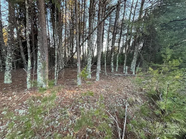 2370 Big Island Rd, Rutherfordton, NC 28139