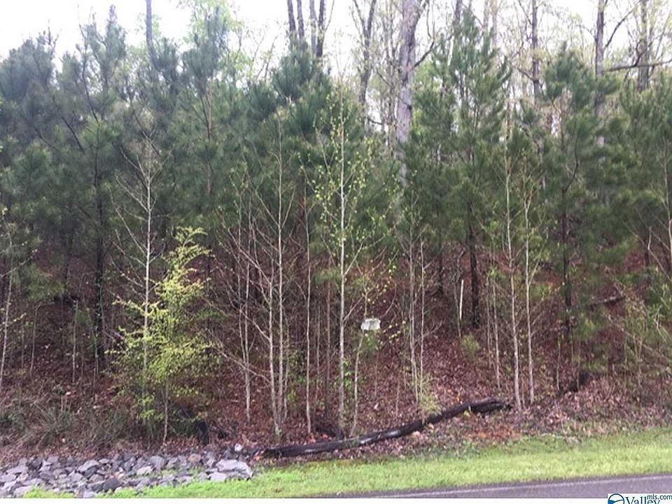 1st image of Lookout Mountain Dr