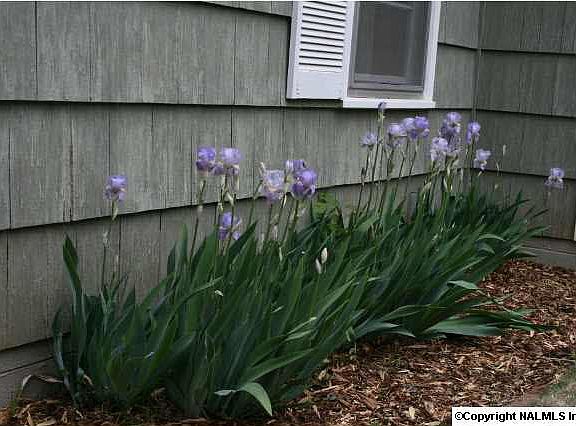 5th image of 3106 Hale Dr SW