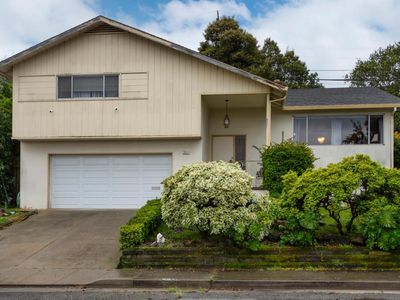 351 Rolling Hills Ave, San Mateo, CA, 94403