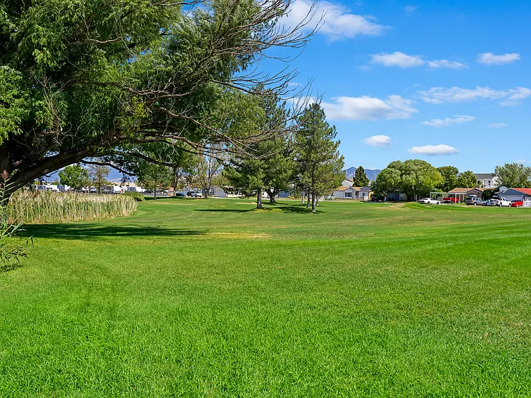 park