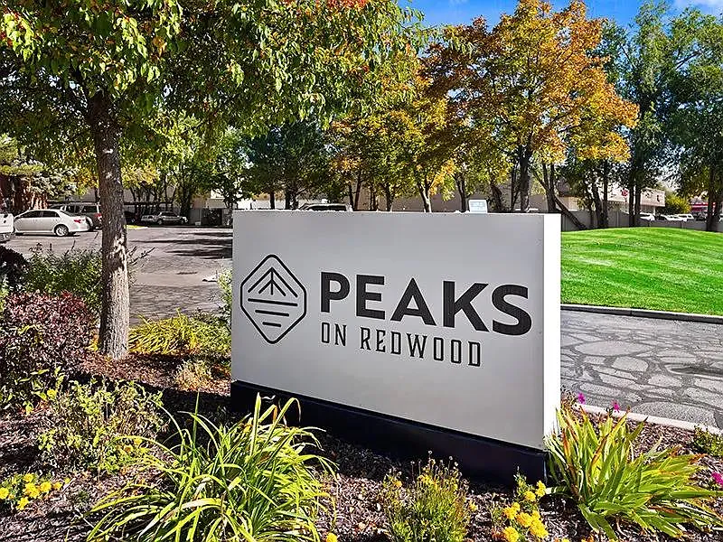 Peaks on Redwood