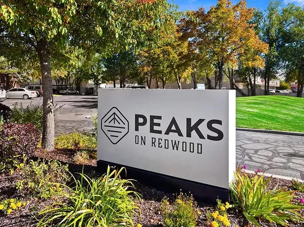 Peaks on Redwood
