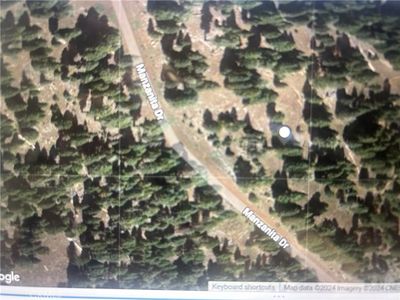 0 Manzanita Dr #80, Likely, CA, 96116