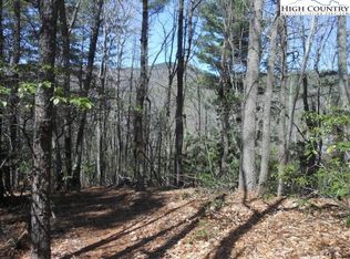 LOT 5 Mount Paron Rd, Deep Gap, NC 28618