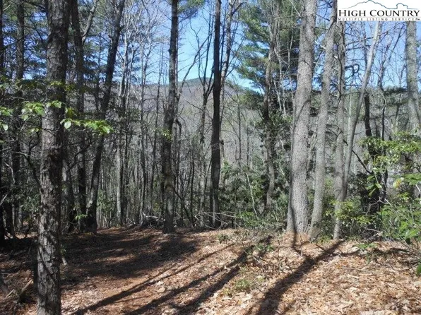 Lot 5 Mount Paron Road, Deep Gap, NC 28618