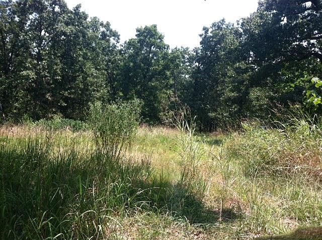 2nd image of 21520 S 625th Rd