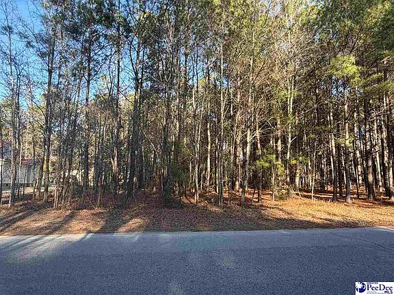 2nd image of 713 Branch Rd