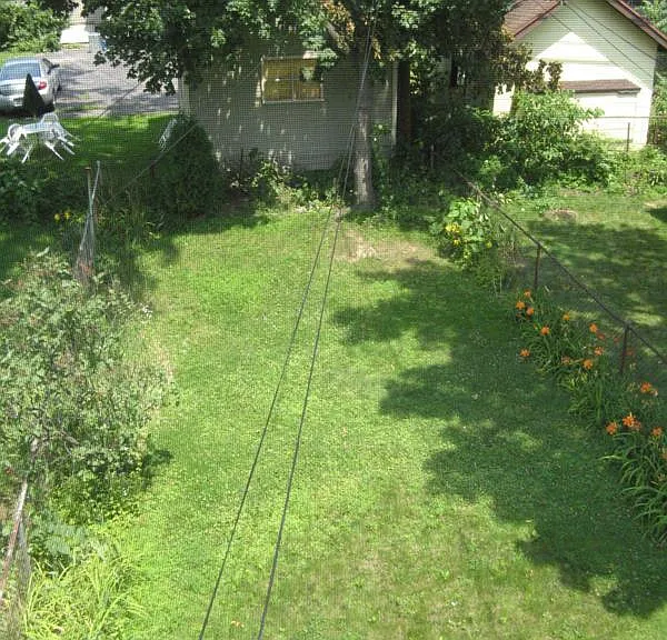 Back yard