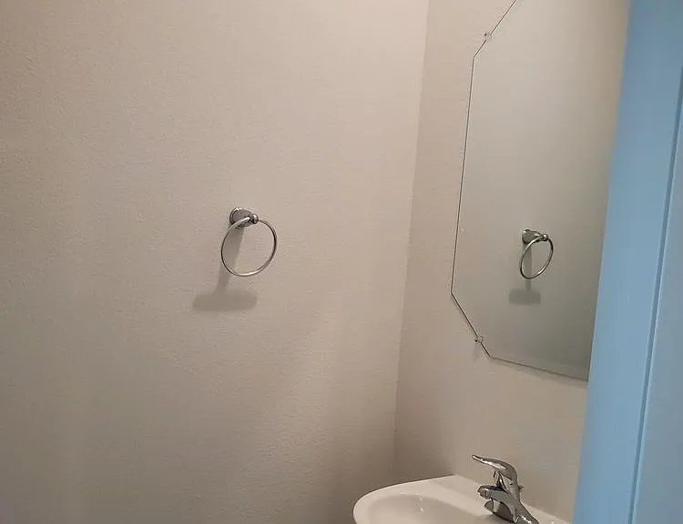 247 Mustard Hill Ct — Photo 11