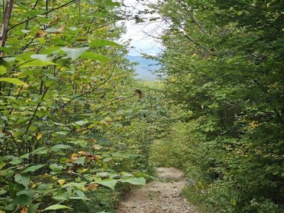 35 Off Averill Hill & Timberland Road, Dixfield, ME, 04224