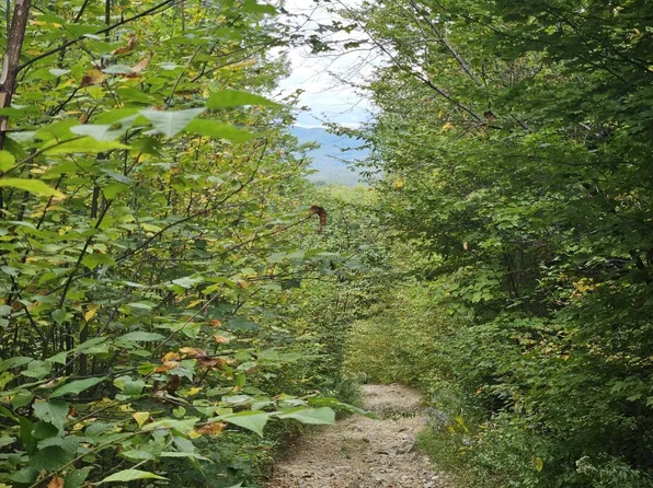 35 Off Averill Hill & Timberland Road, Dixfield, ME 04224