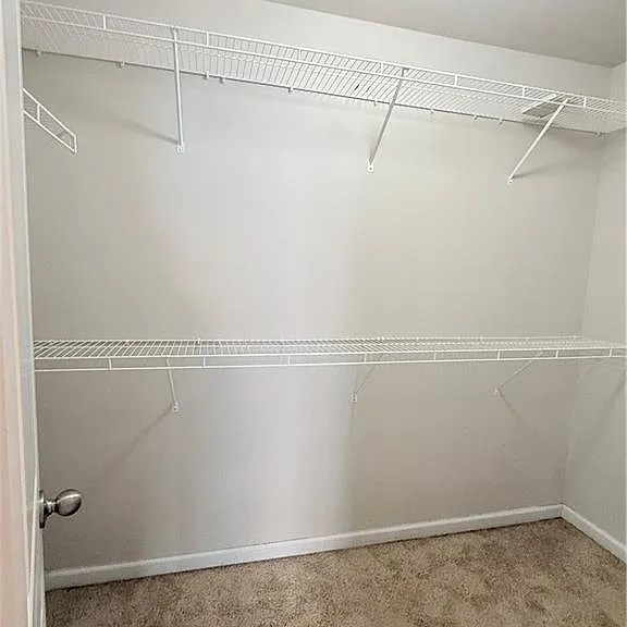1033 Haley Woods Ln — Photo 19