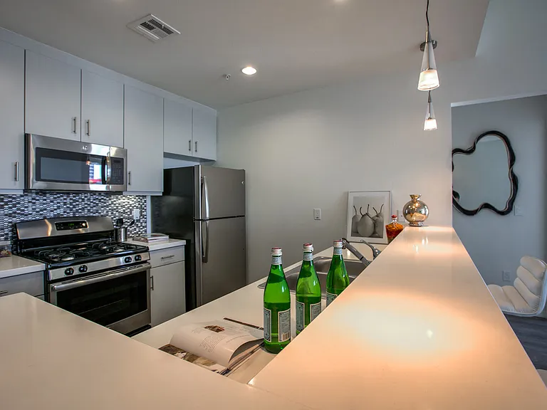 Modern, Stainless Steel Appliances and Gas Range