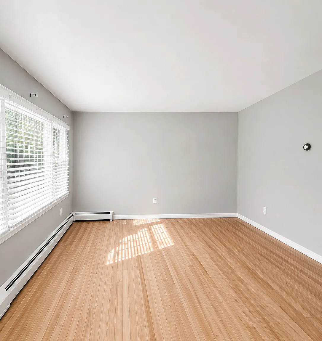3 bed, 1.5 bath, 1640 sqft, $3,000 — Photo 4