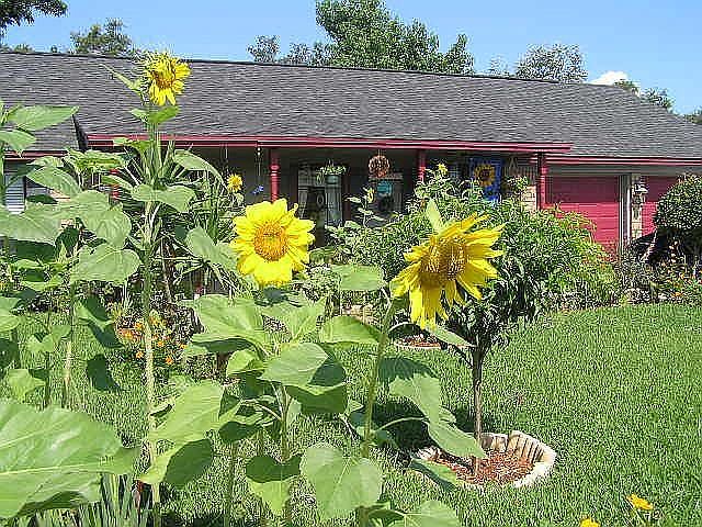 Front of House in Springtime