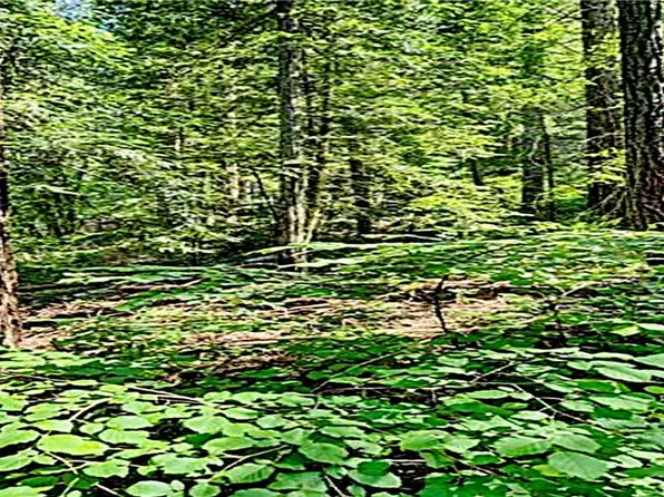 14407 McLane Ave #34, Guerneville, CA 95446