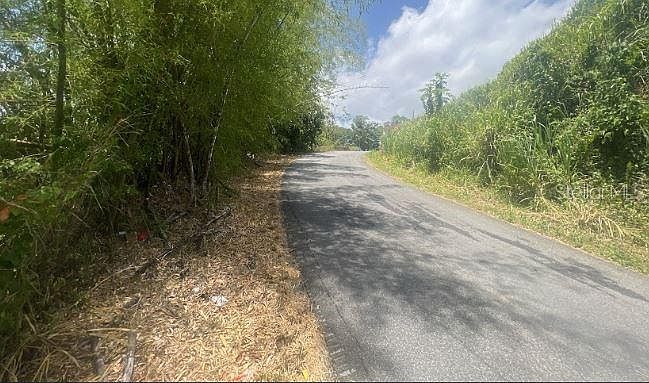 1st image of ARENAS-BEATRIZ WARD, EUCALIPTO STREET #Lot A