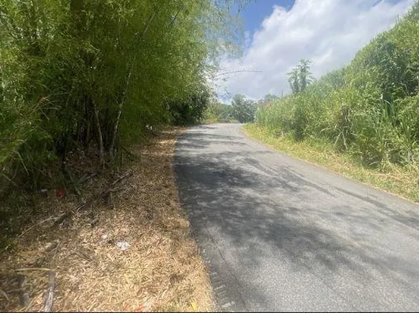 Arenas Beatriz Ward Eucalipto St Lot A, Cidra, PR 00739