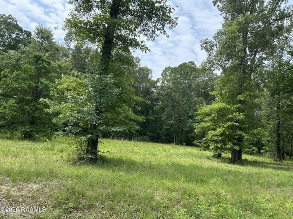 Juniper Ln, Ville Platte, LA 70586