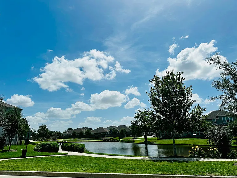 Front View (duck pond)